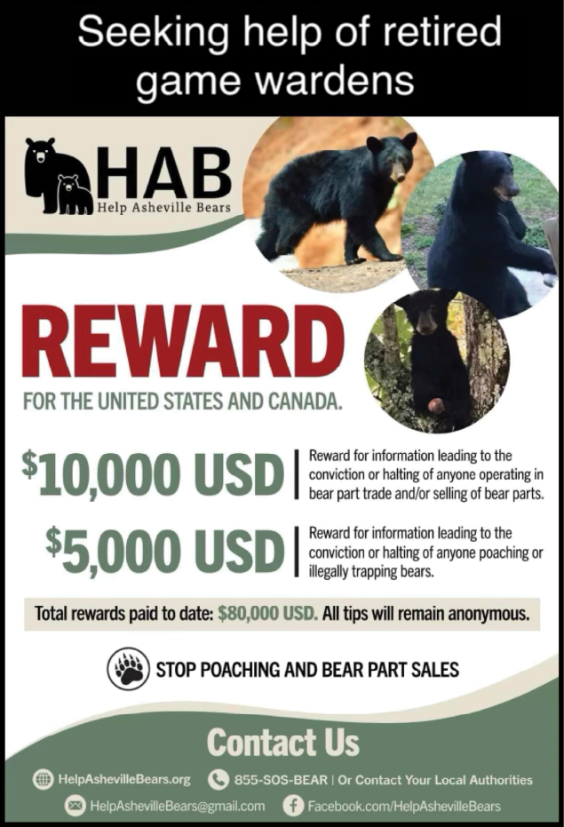 Help Asheville Bears
