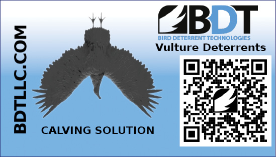 
Bird Deterrent Technologies
The best Osprey and Vulture Deterrent Available Today